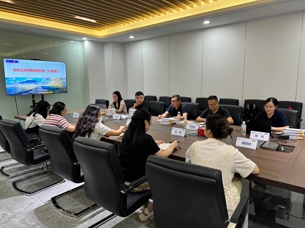 财务检查组赴乍浦港口开展股份公司财务风险检查