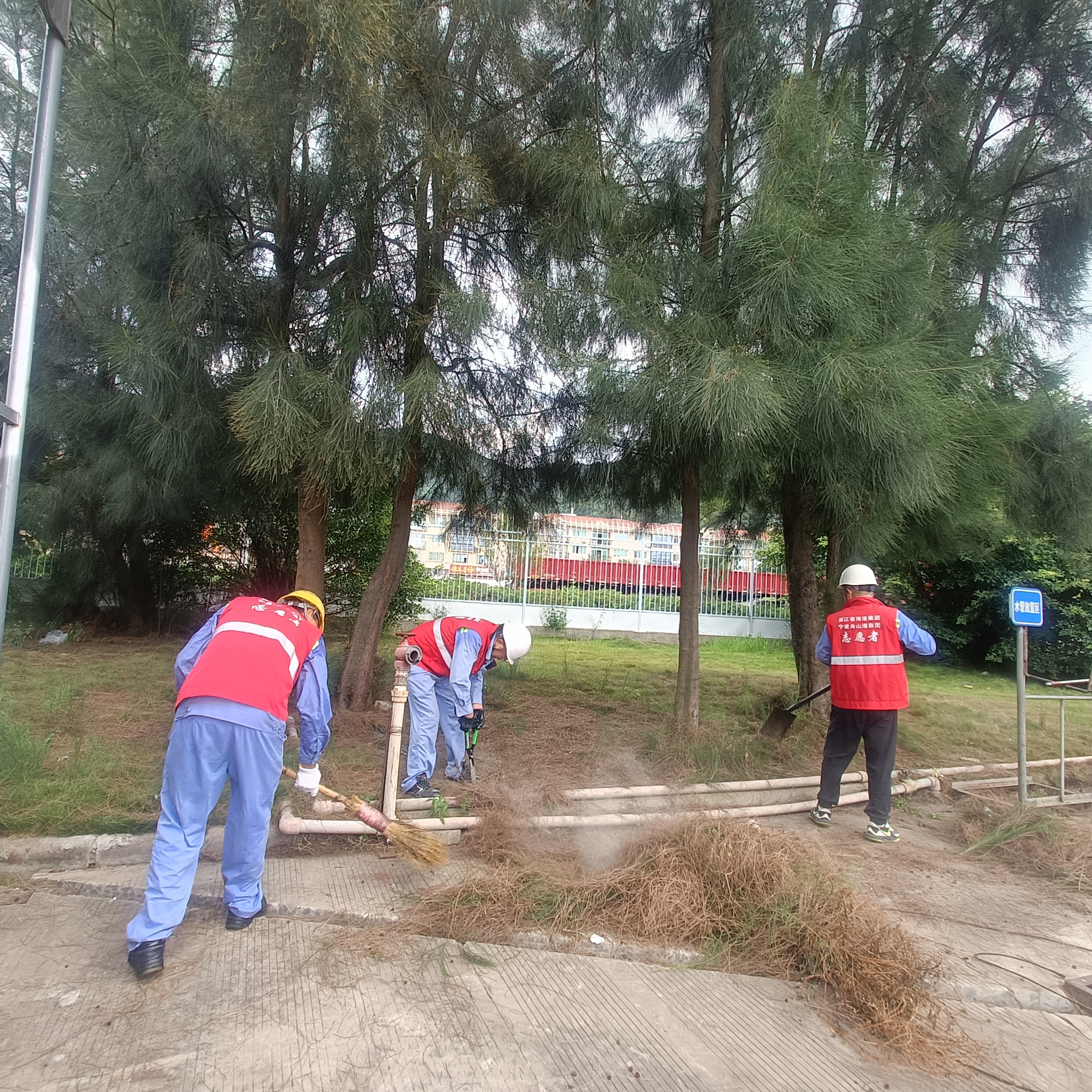 状元岙公司组织开展美化港区环境志愿服务活动