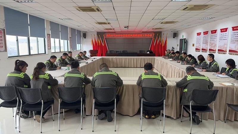 龙湾公司召开2026年党建党风廉政建设工作会议暨第一季度专题例会