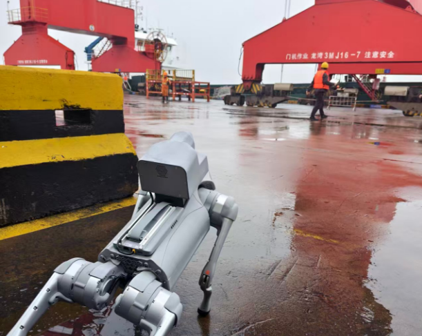 巡检机器狗“上岗” ！温州港开启智能巡检新时代